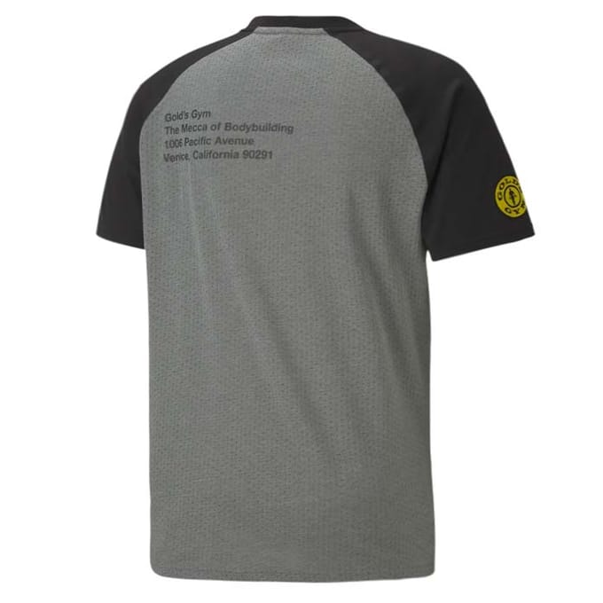 Puma x Gold's Gym Heren Grijs Raglan T-shirt
