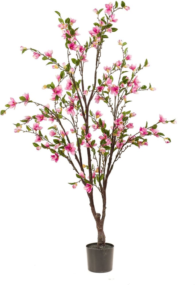 Emerald - Kunstboom Magnolia roze 170cm - Kunstplant voor binnen