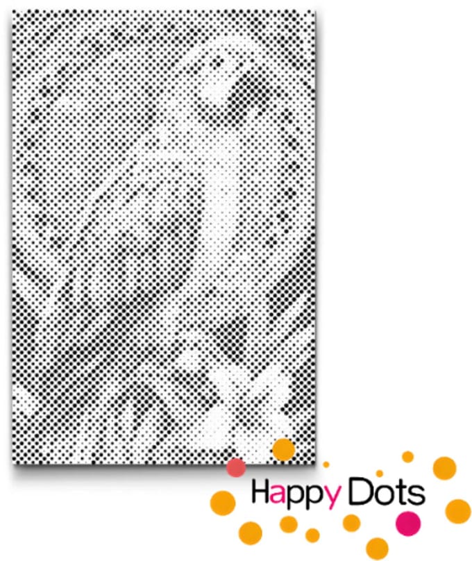 HappyDots DOT Painting Vogels 12 - 40x60cm