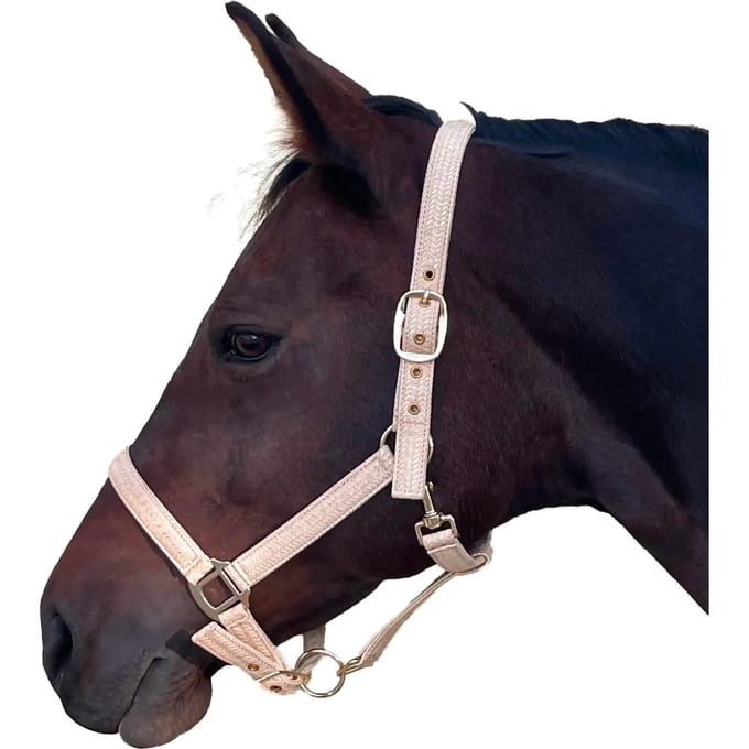 Halster voor paarden Canter Malibu