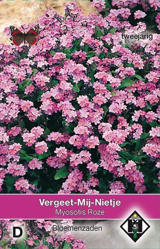 Van Hemert & Co - Vergeet-Mij Nietje Roze (Myosotis sylvatica)