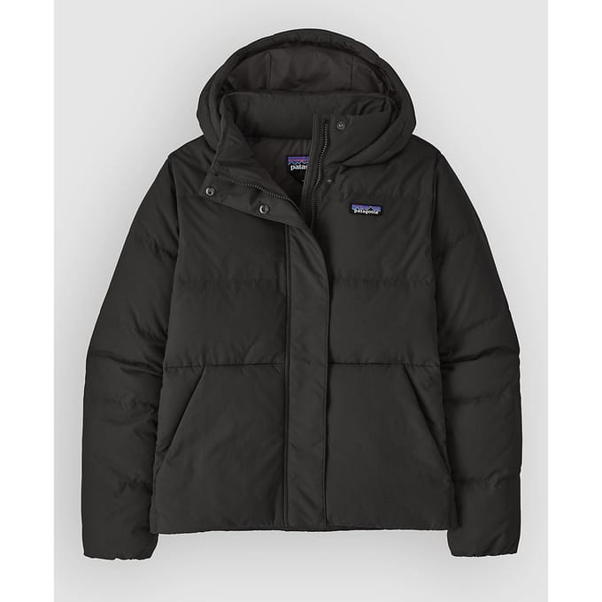Patagonia Sisar Down Hoody Jas zwart