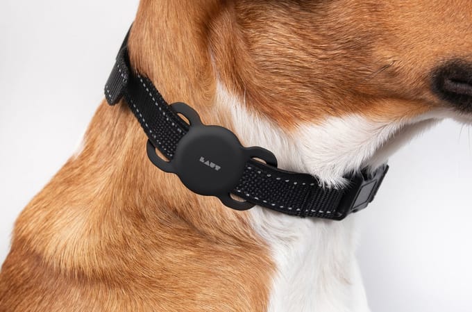 Laut - PET TAG - AirTag dierenband - zwart