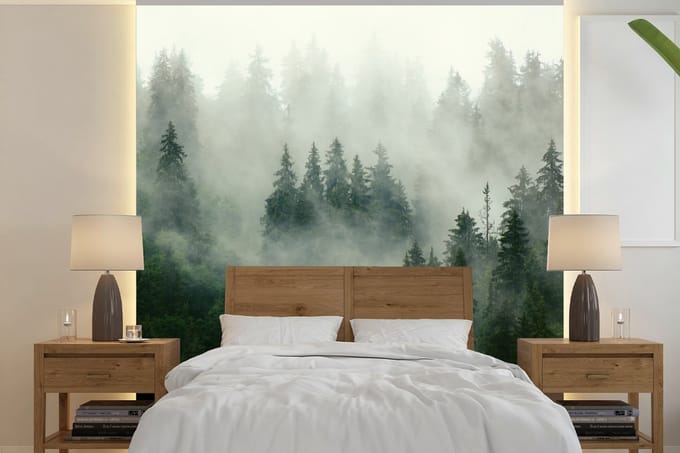 Behang - Fotobehang Bos - Mist - Bomen - Natuur - Breedte 350 cm x hoogte 350 cm