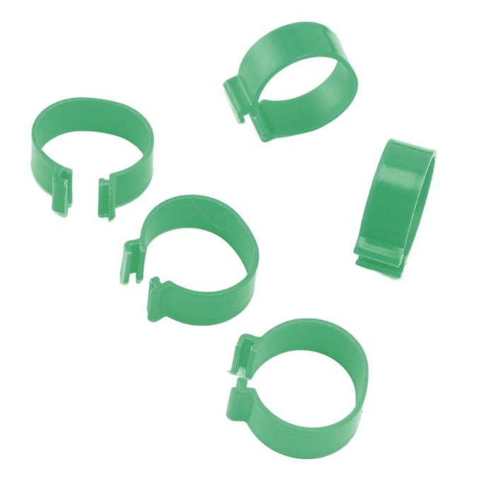 100 Stuks Pluimvee Voetring Open Type Gesp Kweek Kip Eend Gans Voetring Kip Accessoire 20mm / 0.8in groen