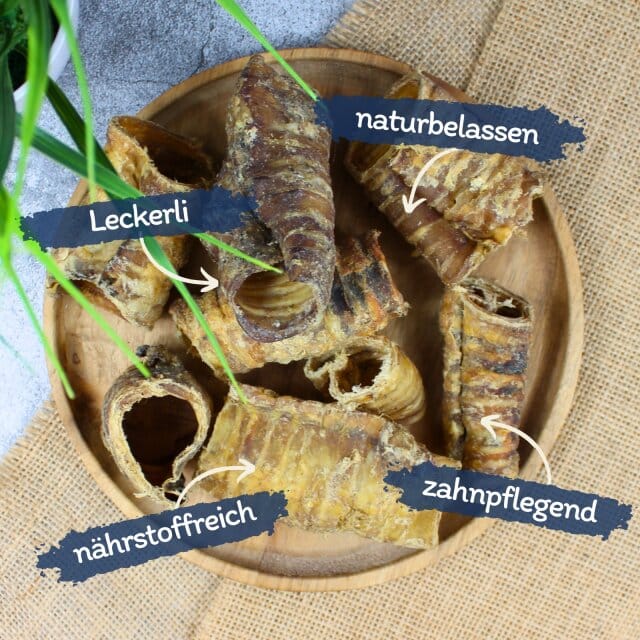 5 kg Lyra Pet® runderscheuten klein