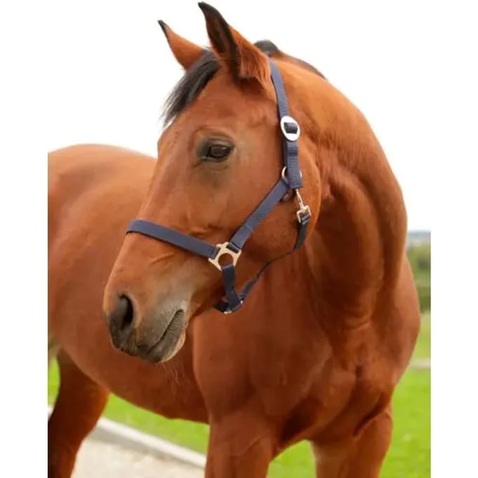Nylon veulenhalster Kerbl hippo