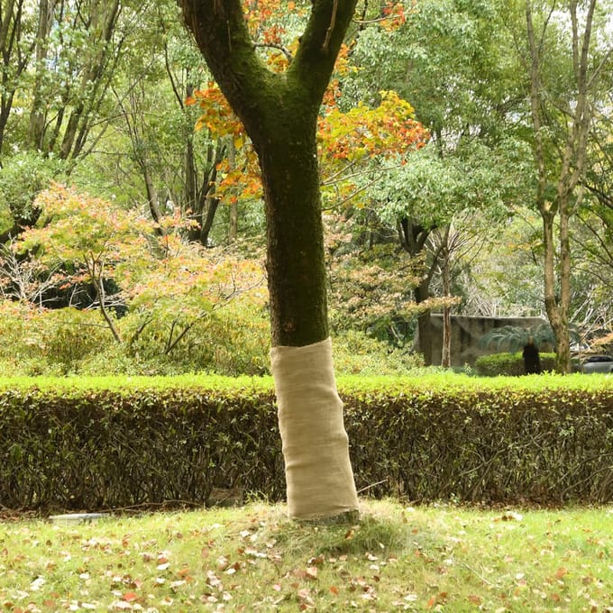 vidaXL - Jute - rol - 200 - g/m² - 1x50 - m - 100% - jute