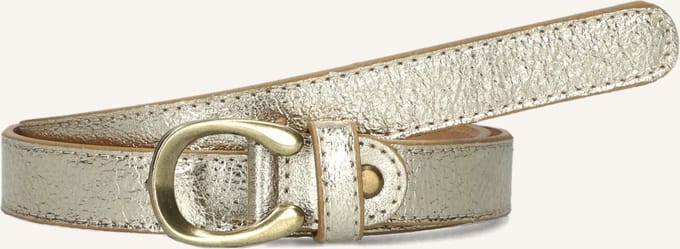 Notre-V Cece Sauvage Metallic Riemen - Goudkleurig - Maat 85