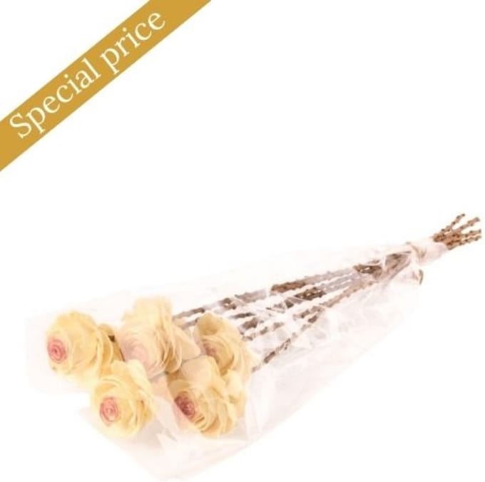 Bosje beauty rose kunst