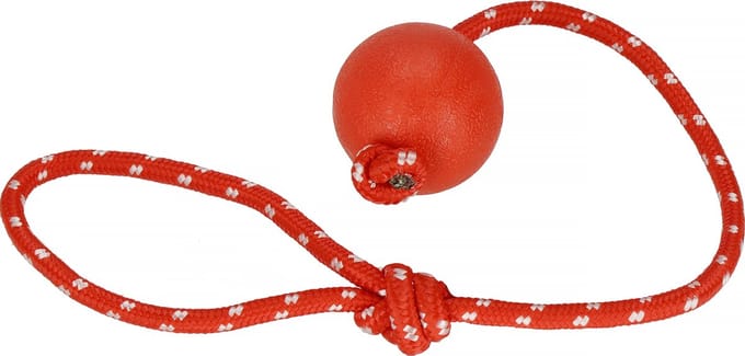 Springos Honden Speelgoed - Duurzaam - Hondenspeeltje - Rood