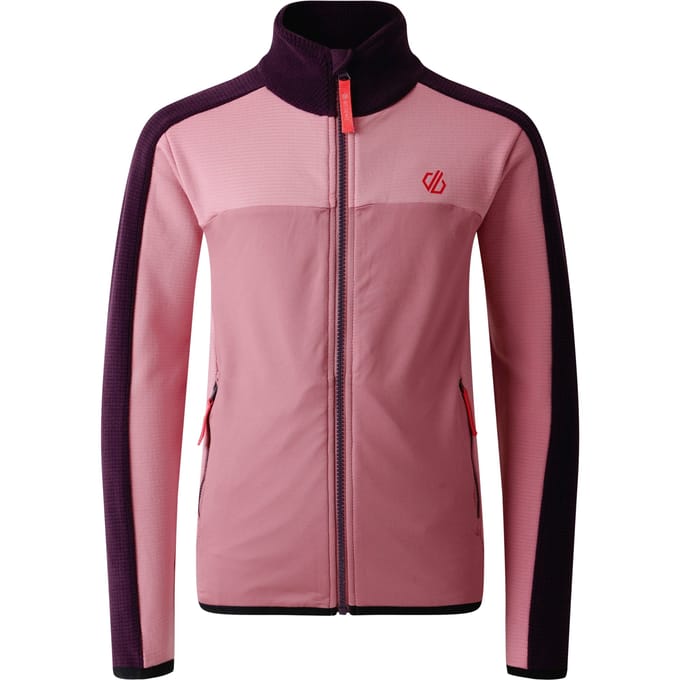 Dare 2B Kinder/Kids Emergent IV Stretch Midlayer (Diepe pruim/Lila's)