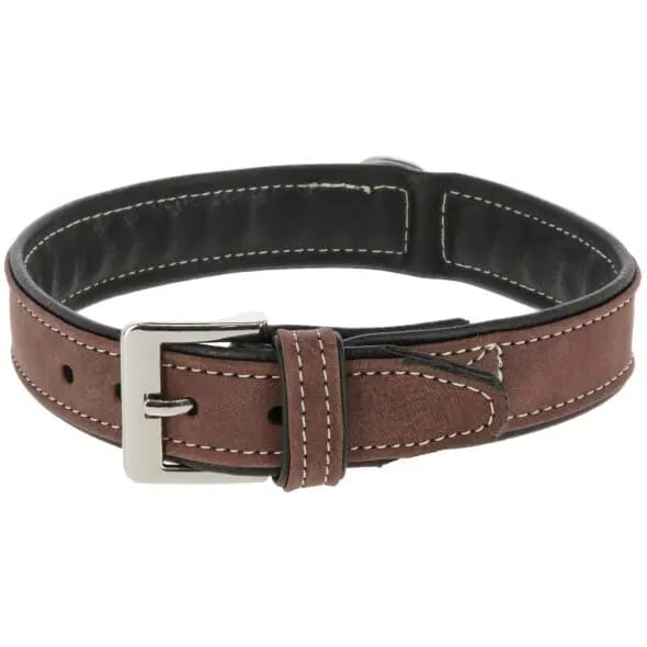 Hondenhalsband Kerbl California