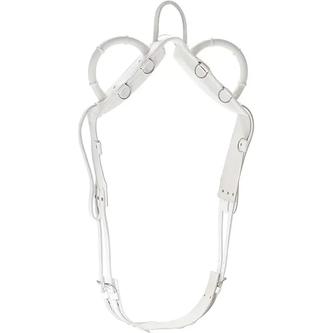 Springpaard surfaix Norton