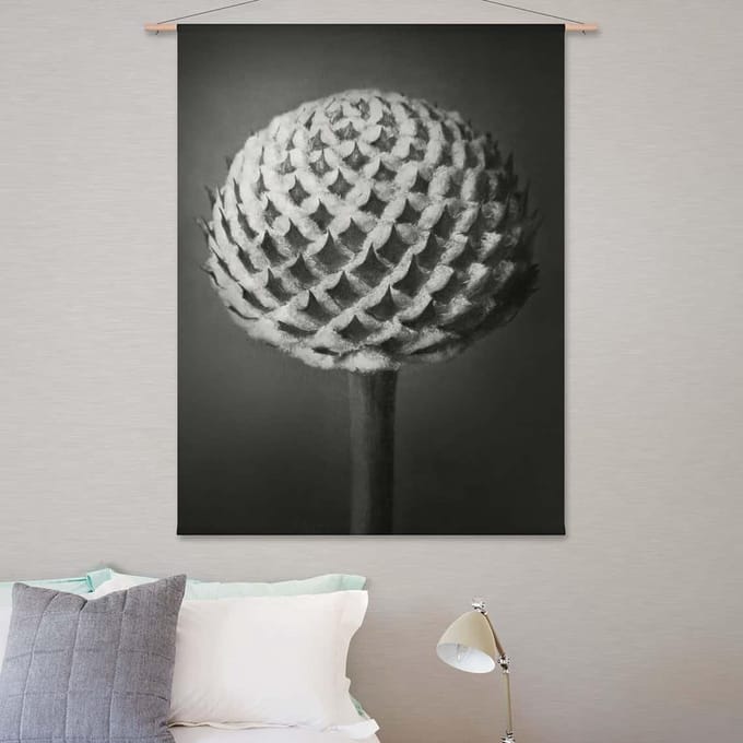 Wandkleed-XL Kleine kaardebol - Karl Blossfeldt