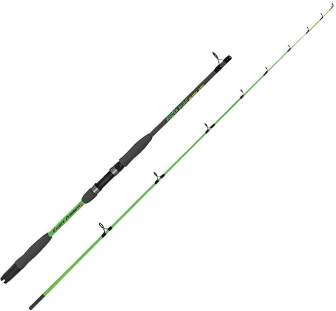 Expert Predator Power Blow Spinhengel Zilver 2.20 m / 100-250 g