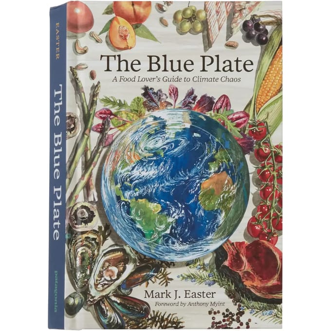 Boek Patagonia The Blue Plate