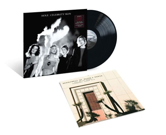 Hole LP - Celebrity skin - voor Geen - standaard