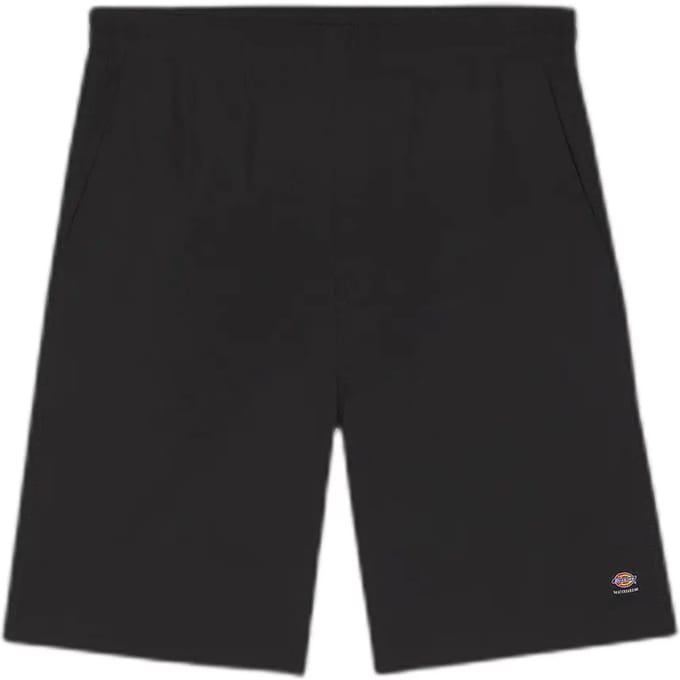 Cargo shorts Dickies Jackson