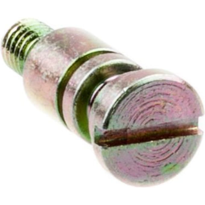 Screw