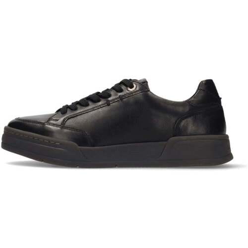 Lage Sneakers Salamander -