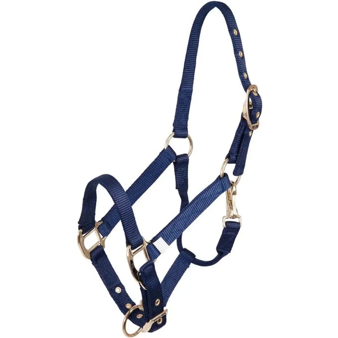 Verstelbaar nylon/messing halster voor veulens BR Equitation