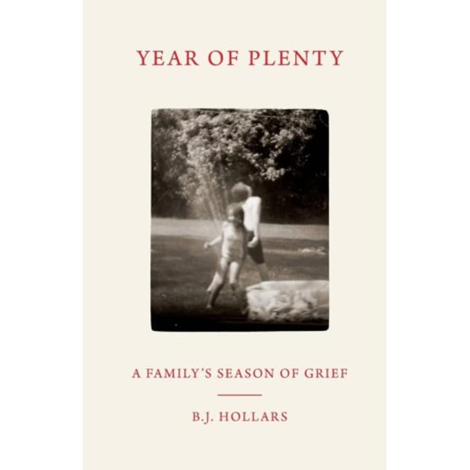 Year Of Plenty - Hollars, B. J.
