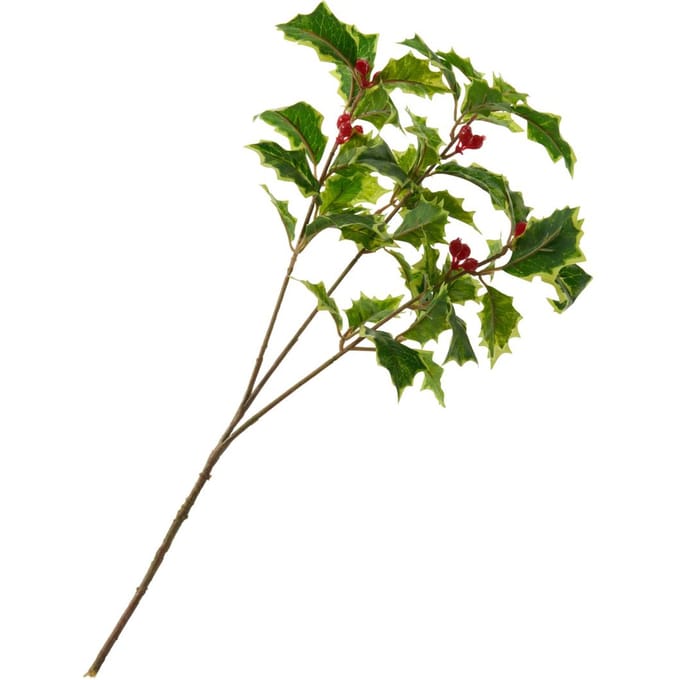 Ilex tak met bessen, 40 cm