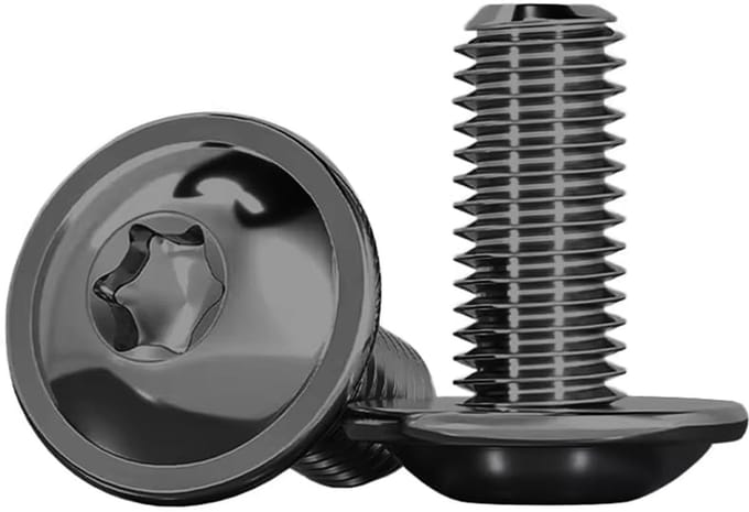 Platte kopschroeven - Kraagschroeven Torx - Machinebevestiging - Roestvrij staal A2 - M4 x 16 mm - Zwart