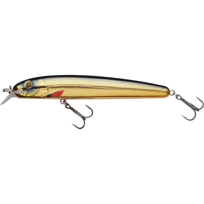 Lok Abu Garcia Beast Hi-Lo