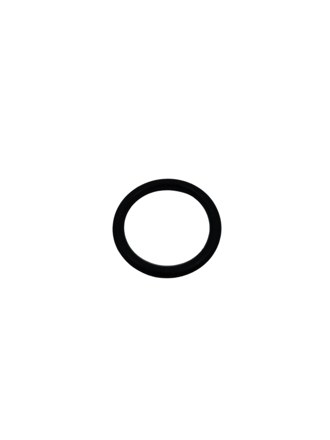 O-ring