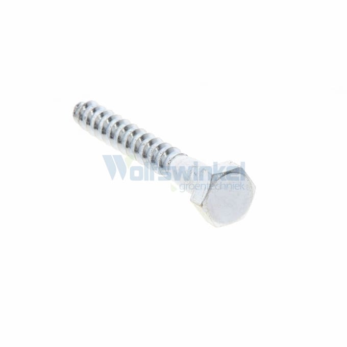 Hoenderdaal houtdraadbout gegalvaniseerd 10 x 80 mm din 571 - doos à 100 stuks