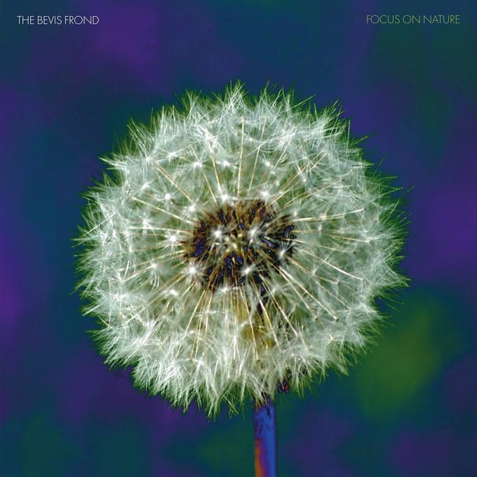 Bevis Frond - Focus On Nature (2 LP)