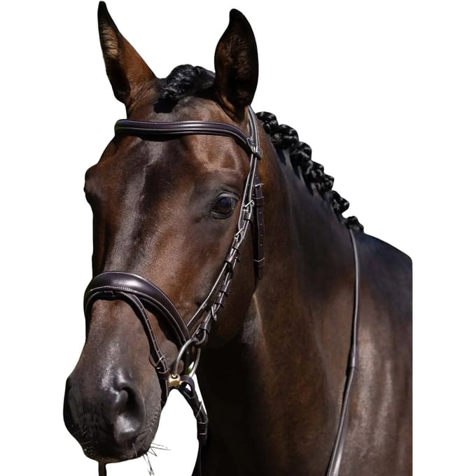 Teugels voor paard Premier Equine Cassano
