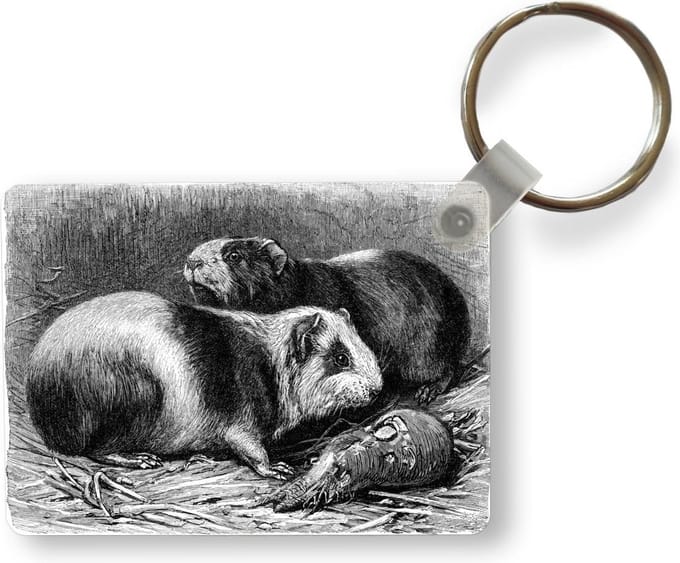 Sleutelhanger - Een zwart-witte illustratie van twee cavia's - Uitdeelcadeautjes - Plastic