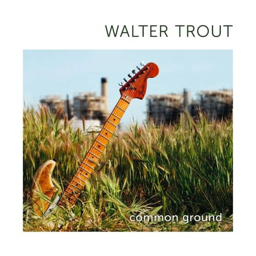 Common Ground - Walter Trout