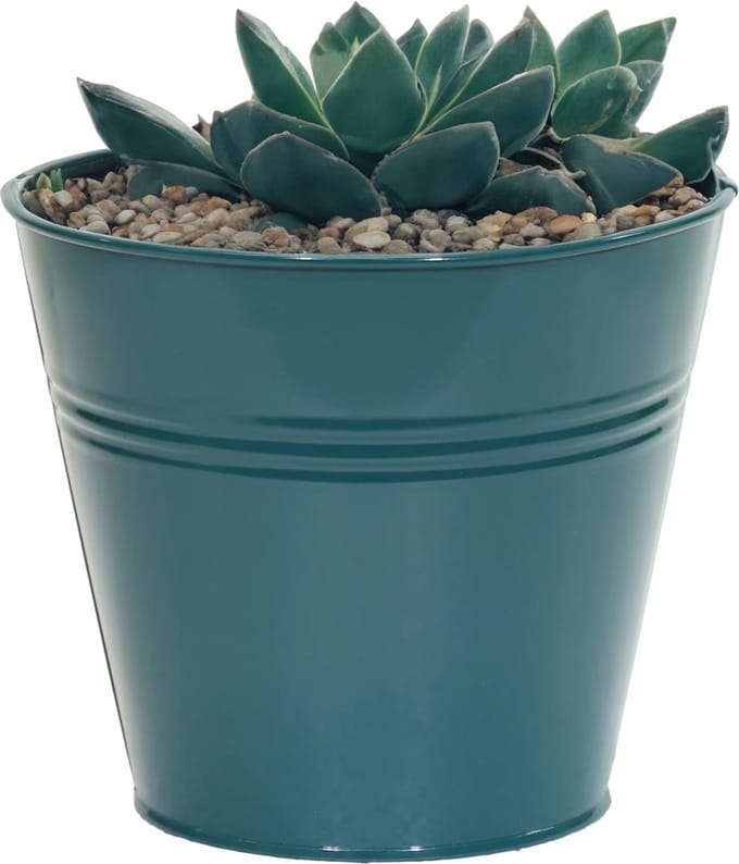 Mega Collections plantenpot/bloempot Bob - zink - zeegroen - D13 X H12 cm