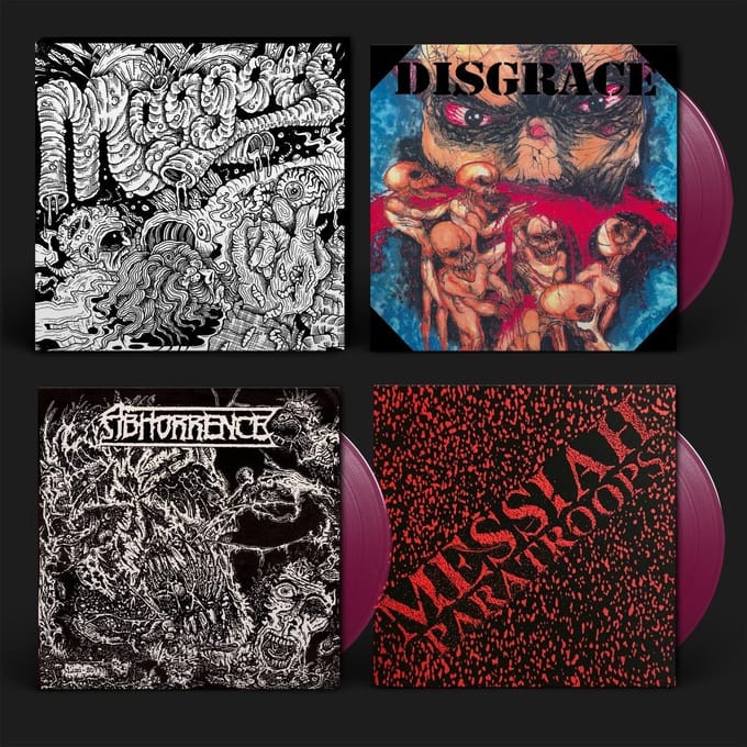 Maggots