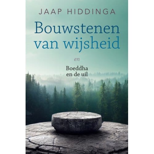 Bouwstenen Van Wijsheid - Jaap Hiddinga