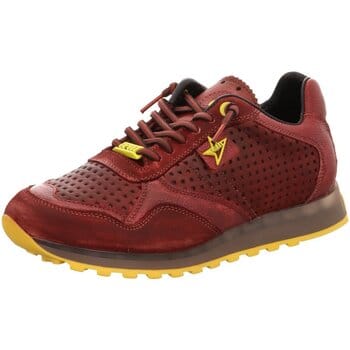 Sneakers Cetti -