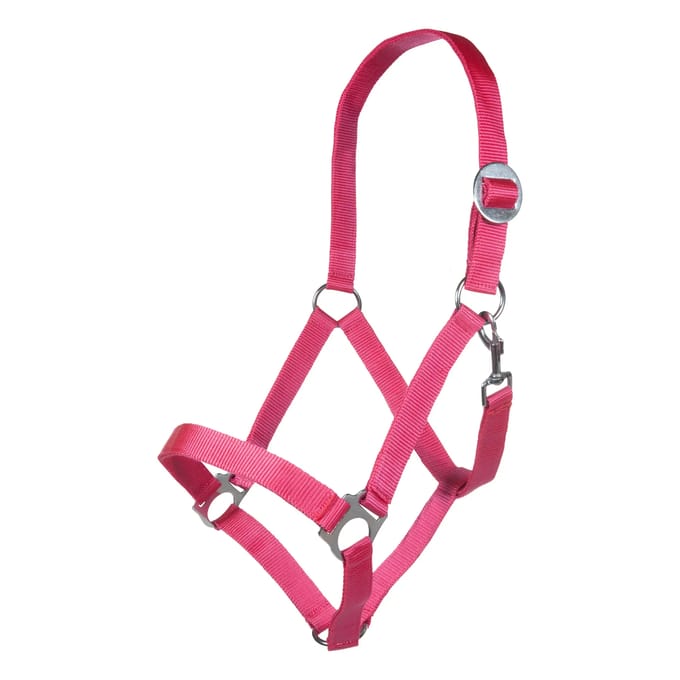 Halster -Stars Economy Softice- roze Full