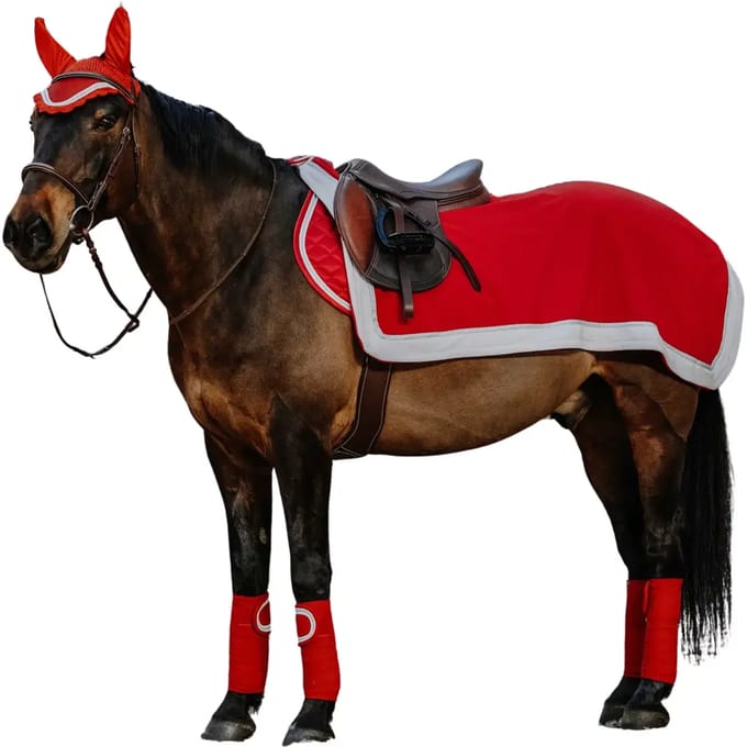 Paardendekens Equithème Xmas
