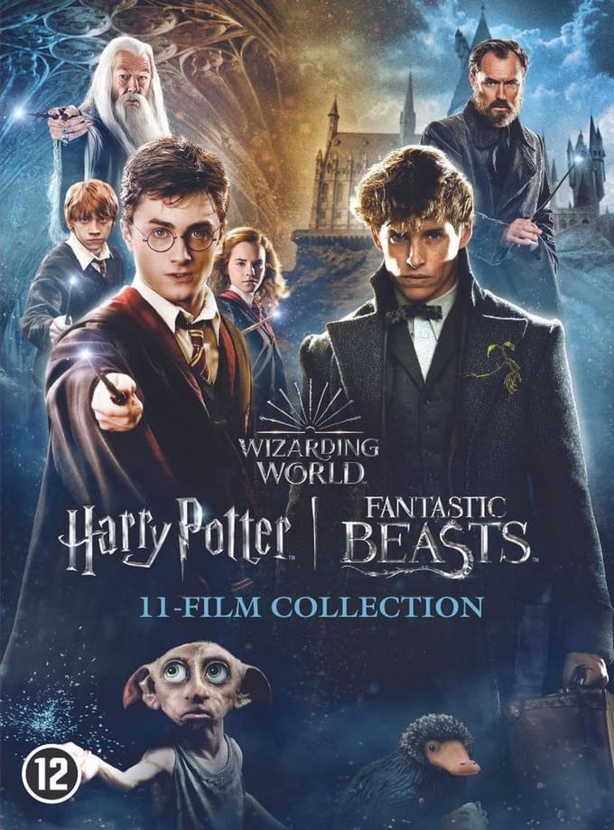 Harry Potter - 1 - 7.2 Collection + Fantastic Beasts 1 - 3 (DVD)