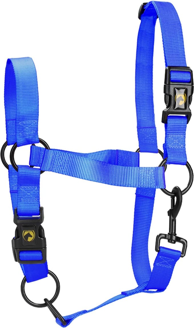 Excellent Horse - S (Shet) - Essential Halster - Halster voor paard - Geschikt voor paarden - Blauw
