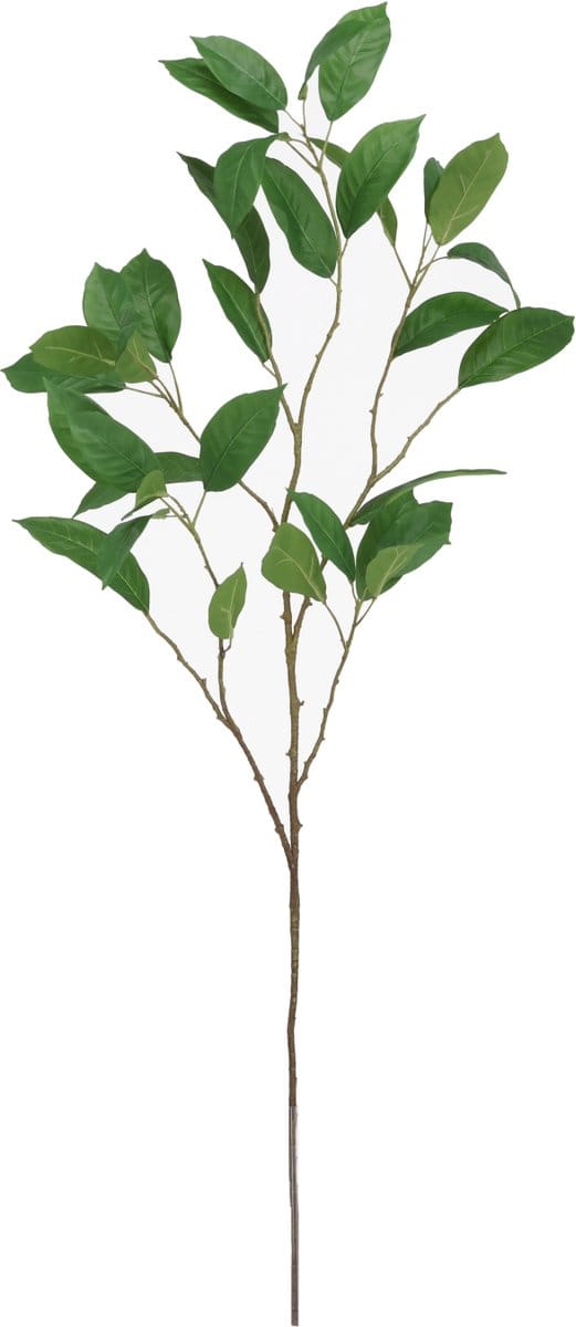 Magnolia Kunst Bladtak 115cm groen
