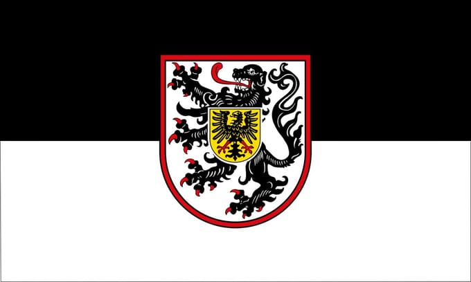 Vlag Landau in de Pfalz 100x150cm