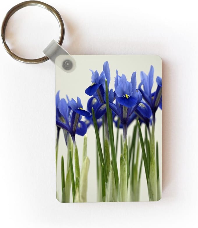Sleutelhanger - Groep blauwe Irissen - Uitdeelcadeautjes - Plastic