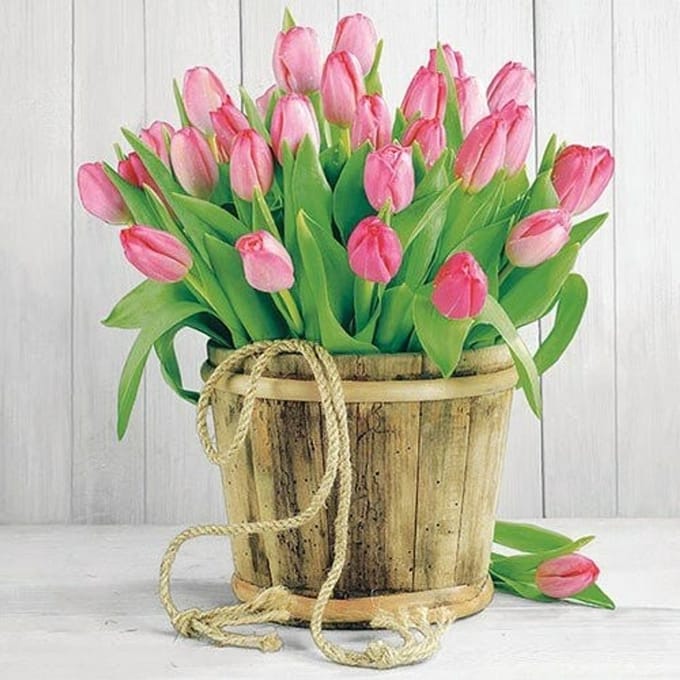 Lunch Servetten Tulips In Bucket - Ambiente - 33x33 cm