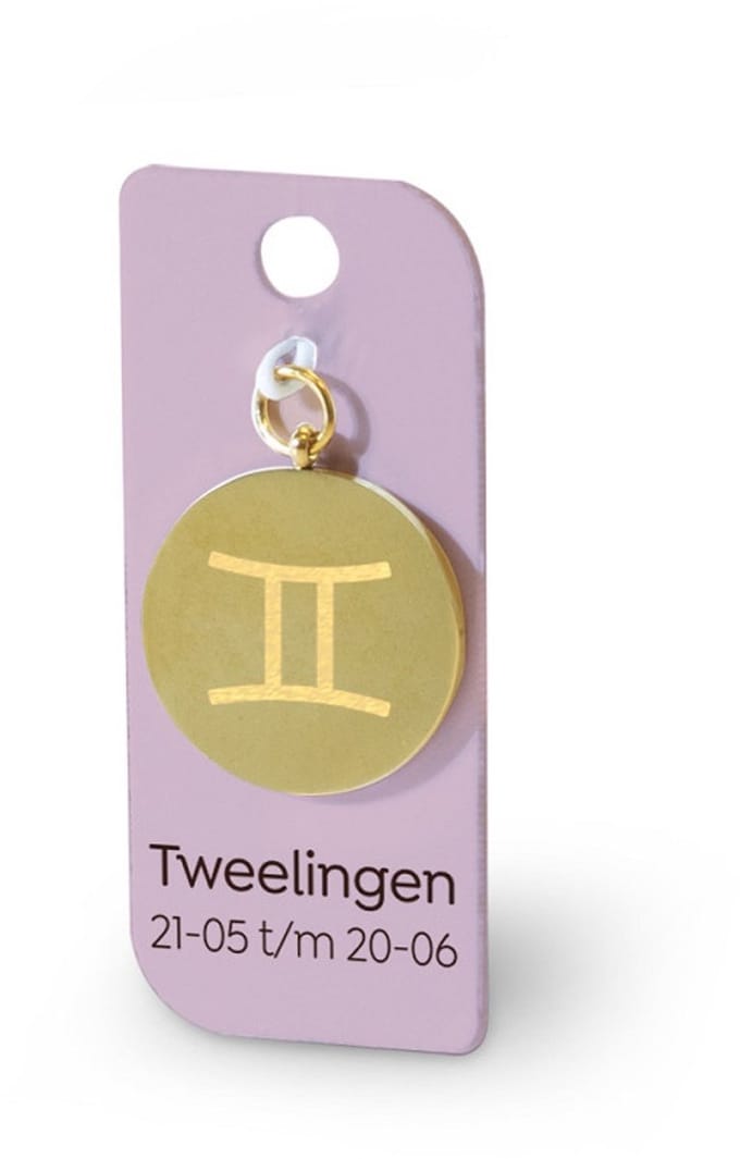 Gouden Charm - Tweelingen