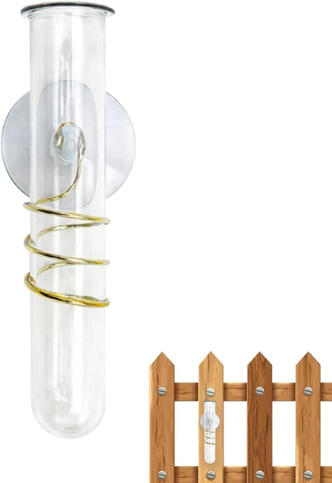 Regenmeter - Neerslagmeter Tuin - Weer Monitoren - Verbeterde Trechter - 15.3 cm - Transparant